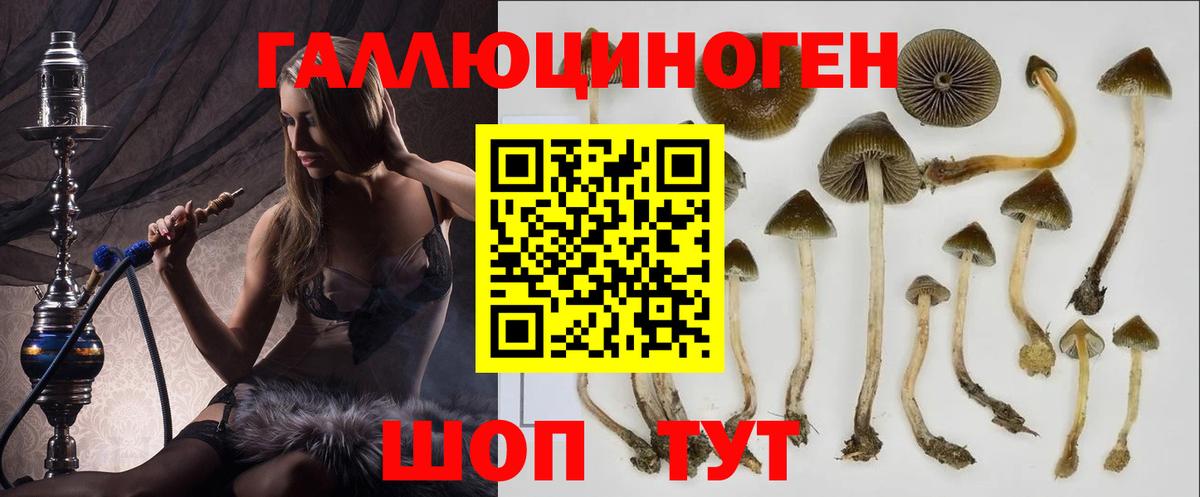 Галлюциногенные грибы Magic Shrooms  Вход с VPN  Урюпинск 